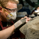 A researcher prepping the fossil for study. (Image: Courtesy of the Royal Tyrrell Museum of Palaeontology, Drumheller, Canada)